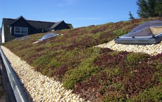 Green Roofing Newcastle
