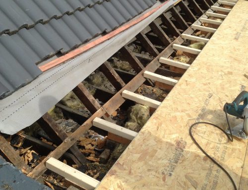 Flat Roof Repair – Before