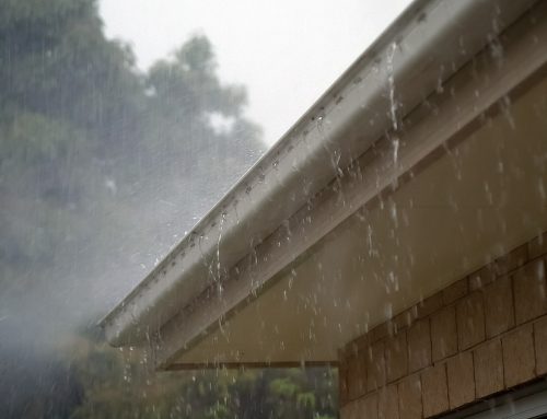 What are Fascias and Soffits?